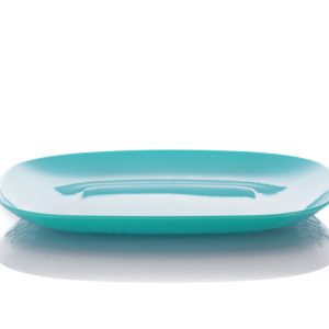Eden Flat plate ( 21 Cm )